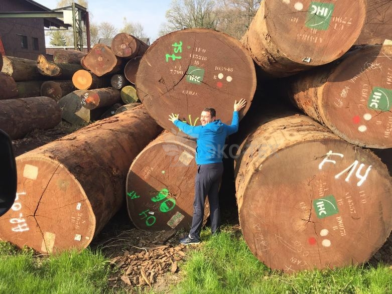 Бревна большого диаметра