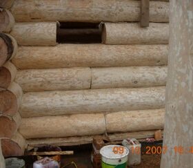 Проблемы с деревом