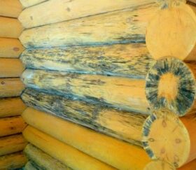 Проблемы с деревом