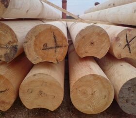 признаки некачественной древесины