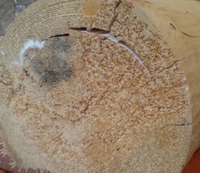 признаки некачественной древесины