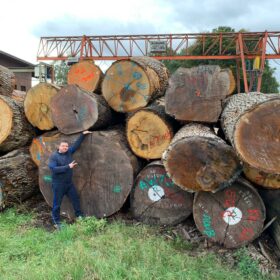 Компания Эко-Тех представляет: Строительство деревянных домов из бревен большого диаметра