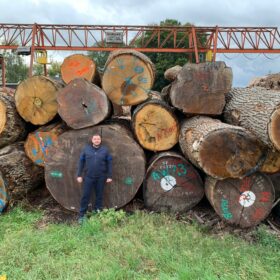 Компания Эко-Тех представляет: Строительство деревянных домов из бревен большого диаметра