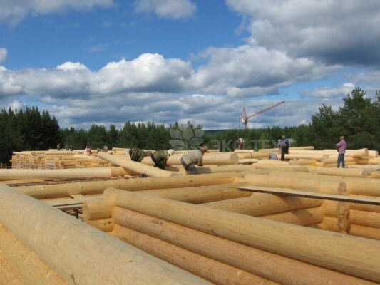 История Эко-тех самый большой в мире дом ручной рубки