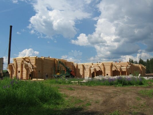История Эко-тех самый большой в мире дом ручной рубки