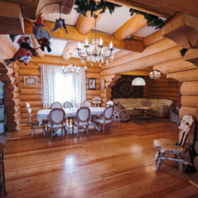 Эко-тех проект Ньютон рубленное бревно