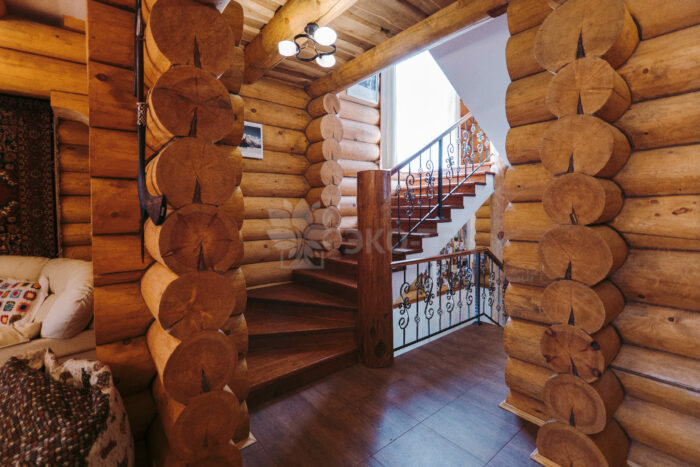 Эко-тех проект Ньютон рубленное бревно