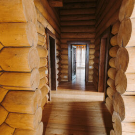 Эко-тех проект Ньютон рубленное бревно