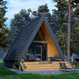 Каркасный дом Туя