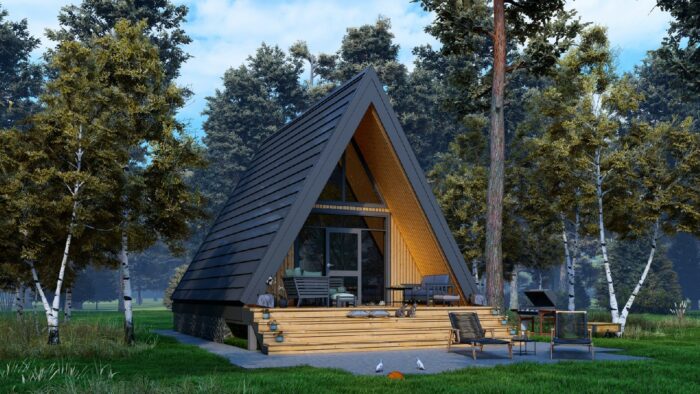 Каркасный дом Туя