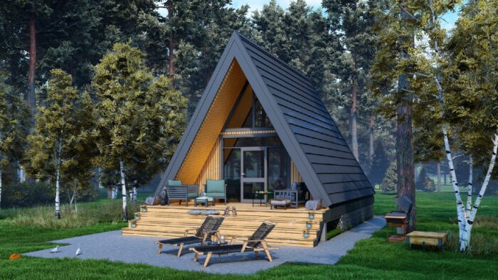 Каркасный дом Туя