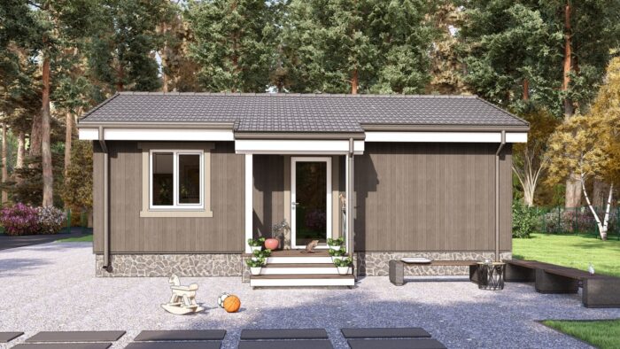 Каркасный дом Лютик